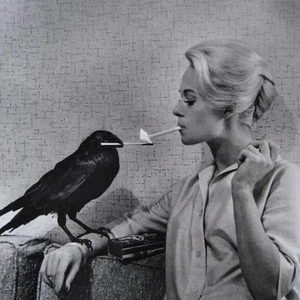 Meet your Posher, Sonya